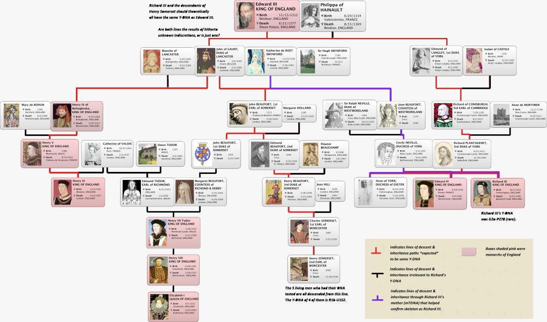 Richard3 Family Tree - Richard III Society SA